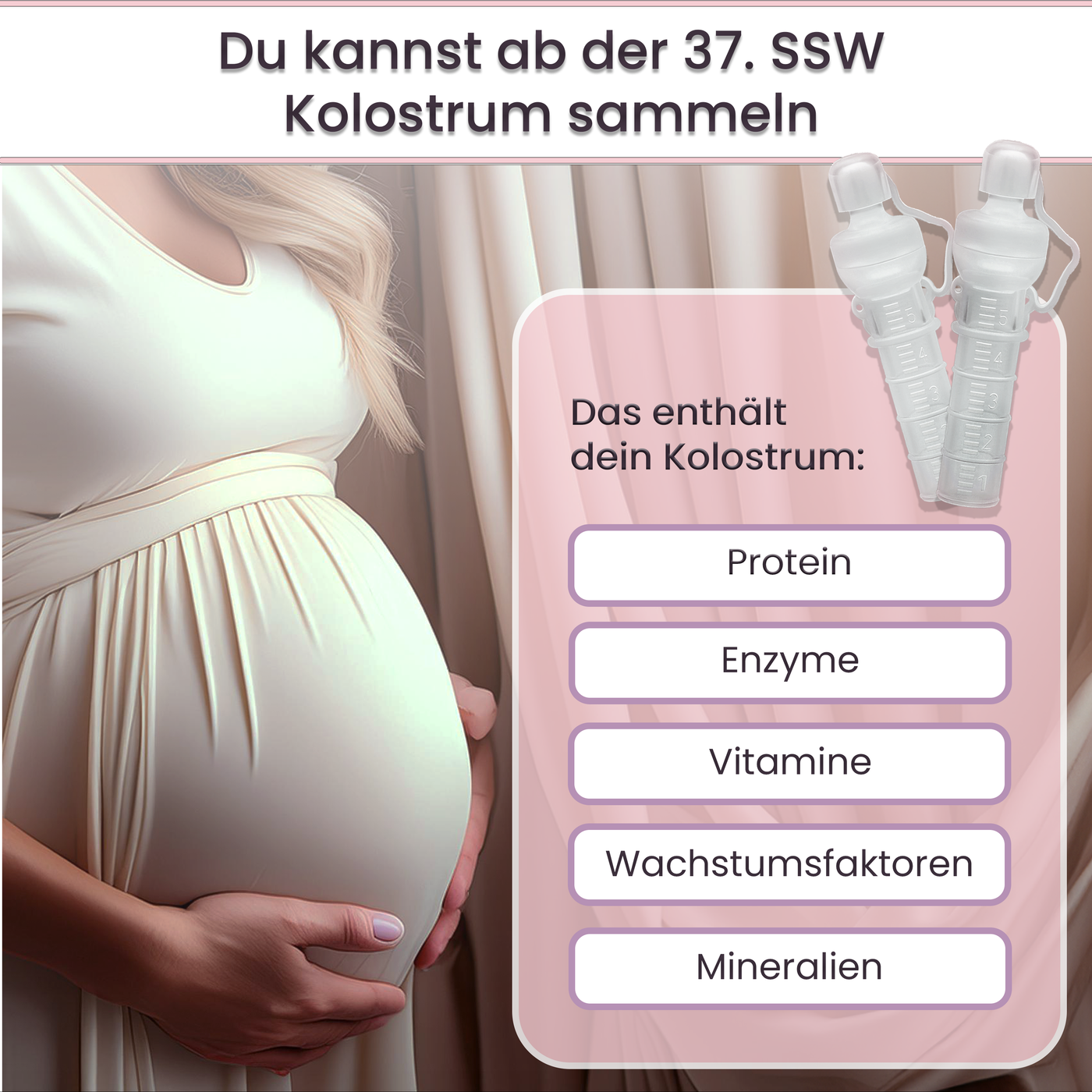 Collecteur de colostrum